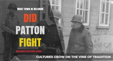 Bastogne: The Historic Belgian Town Where Patton's Forces Fought Valiantly