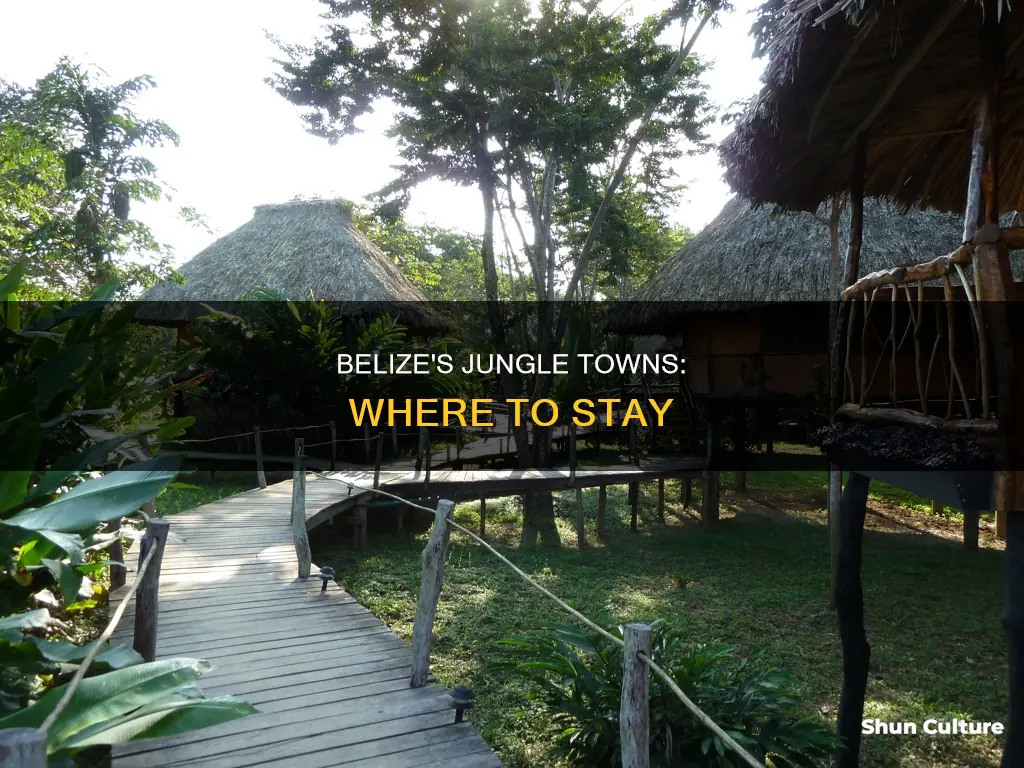 what town to stay in belize for jungle