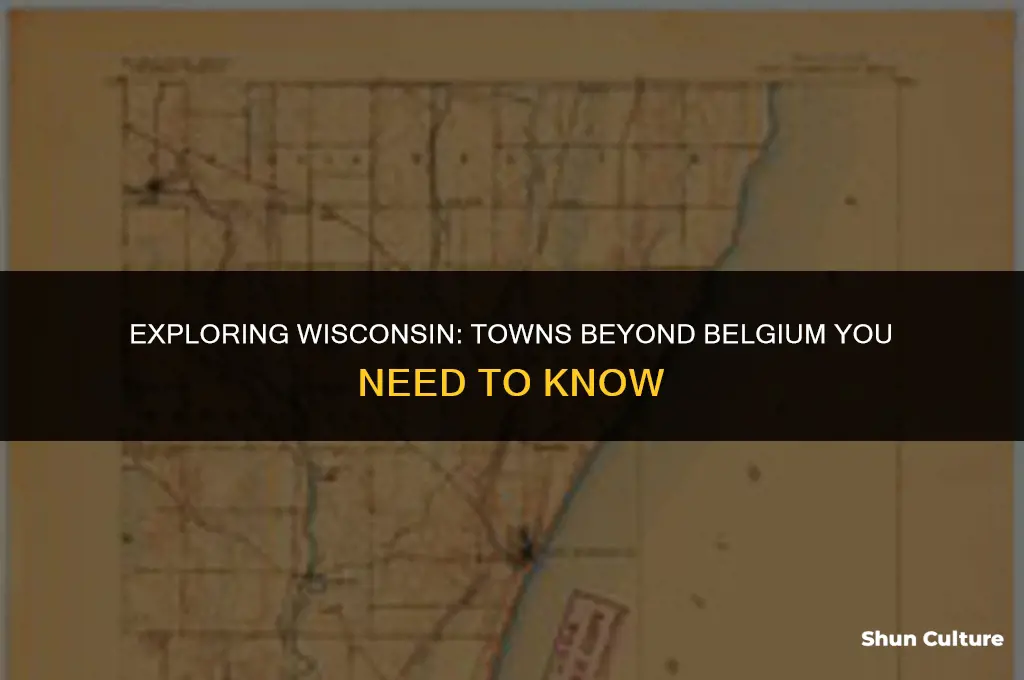 what towns are outside of belgium wisconsin