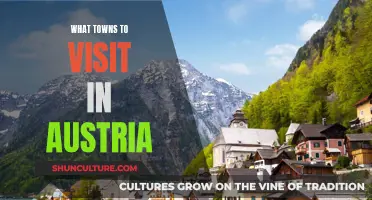 Uncover Austria's Hidden Gems: Top Towns to Explore