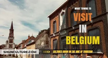 Discover Belgium's Hidden Gems: Must-Visit Towns Off the Beaten Path