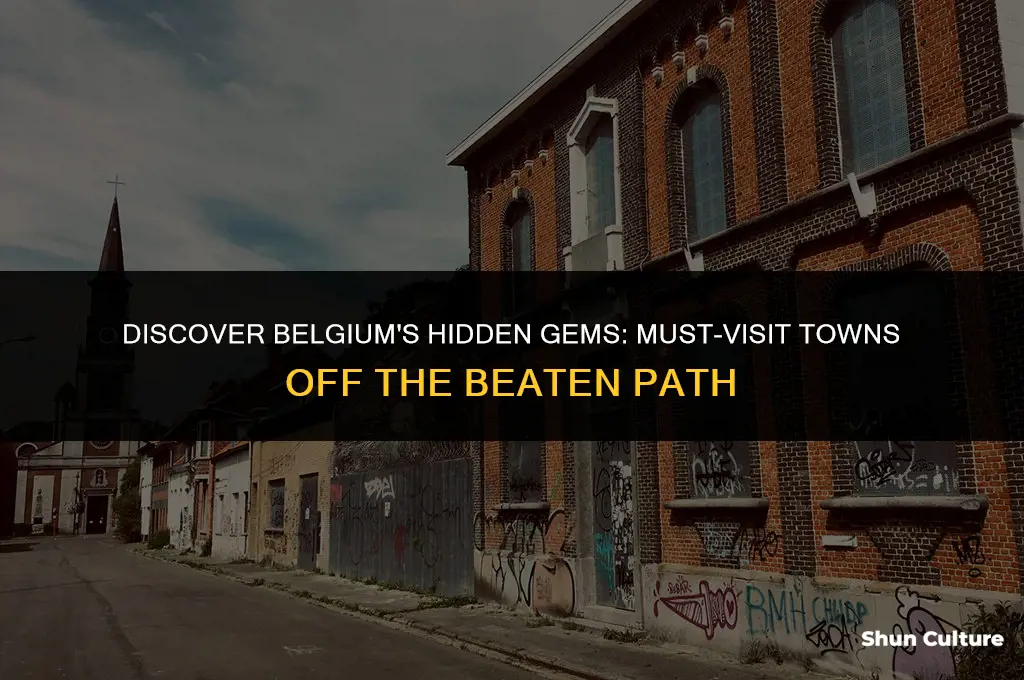 what towns to visit in belgium