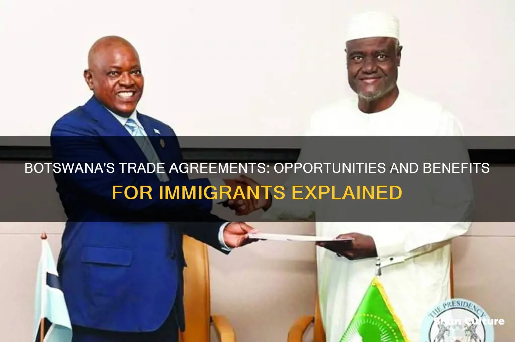 what trade agreements does botswana have in place for immigrants