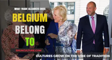 Belgium's Trade Alliances: A Comprehensive Overview