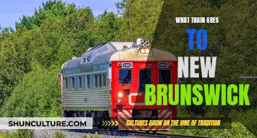 Trains to New Brunswick: Routes and Services