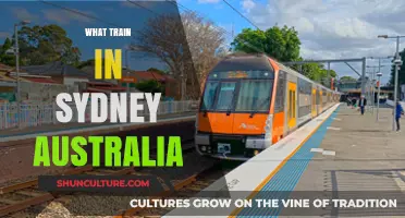 Exploring Sydney's Train Network: Routes, Tips, and Must-Know Info