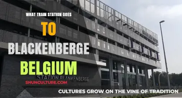 Discovering Belgium: Train Stations to Blackenberge