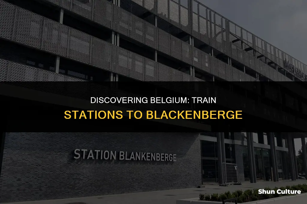 what train station goes to blackenberge belgium