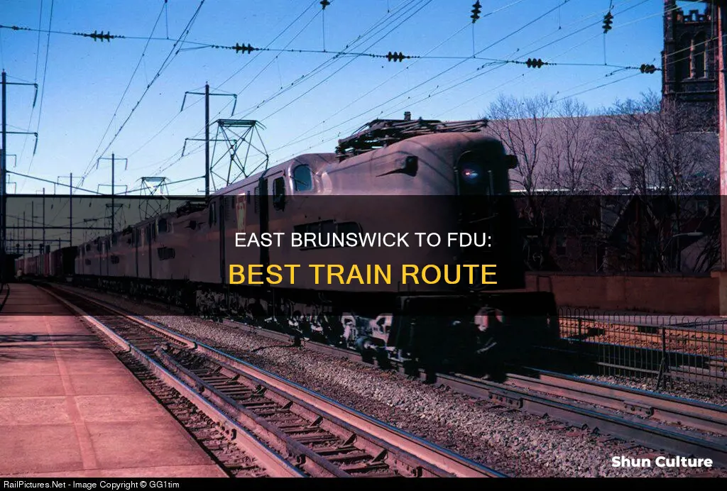 what train to take to fdu from east brunswick