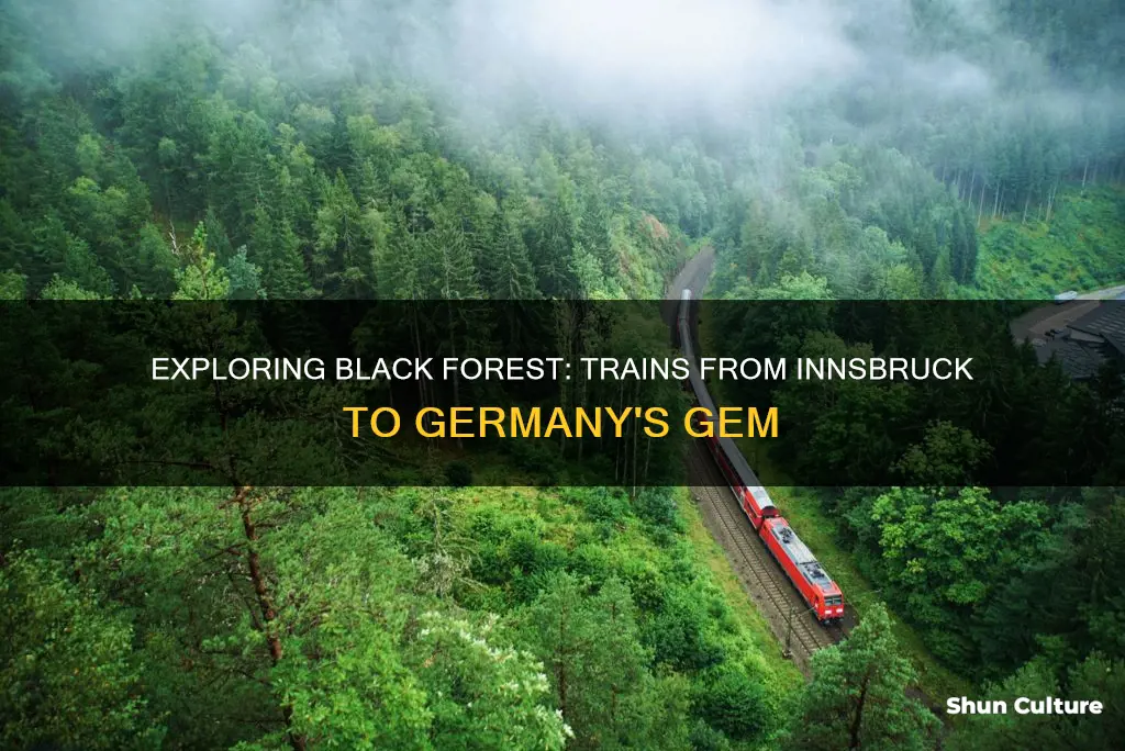 what trains go from innsbruk austria to black forest germany