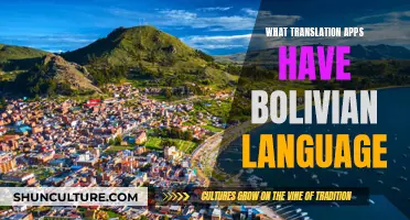 Translation Apps Supporting Bolivian Languages: A Comprehensive Guide