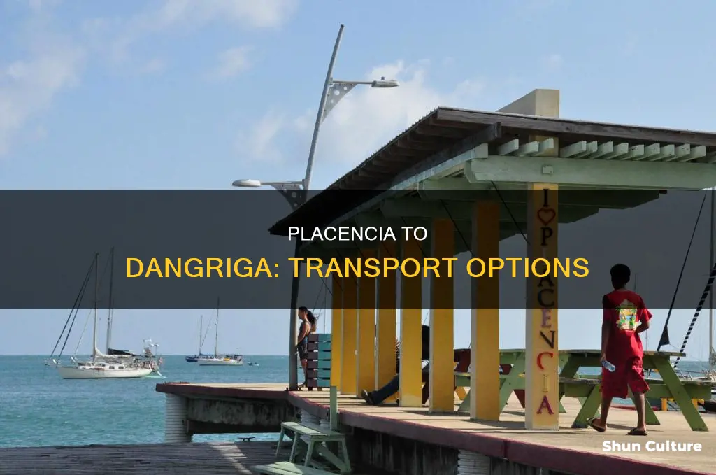 what transportations go to placencia belize to dangriga belize