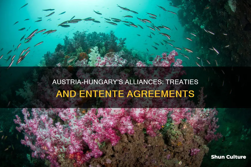 what treaties or ententes has austria-hungary entered to