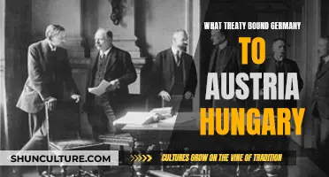 The Treaty of Versailles: Germany's Binding Agreement with Austria-Hungary