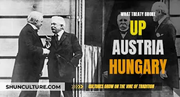 The Treaty of Versailles: Austria-Hungary's Demise