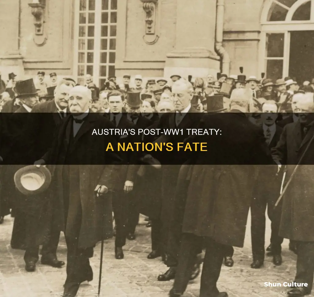 what treaty did austria sign after ww1