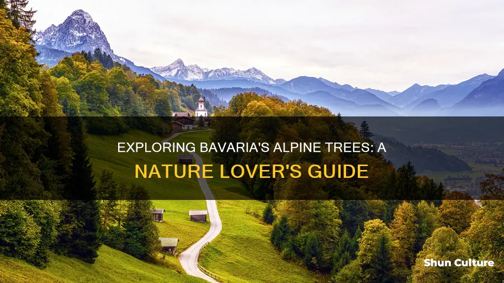 what trees are in the bavarian alps