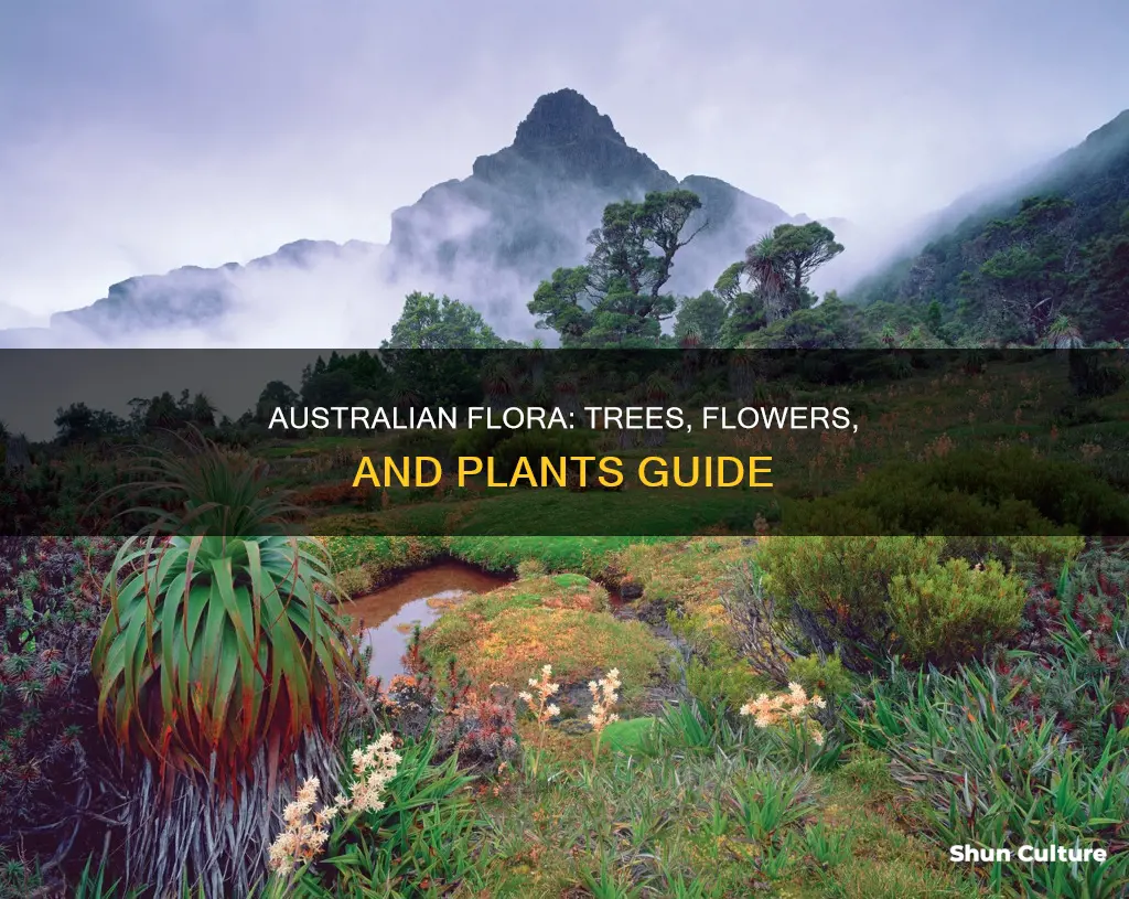 what trees flowers and plants are found in australia