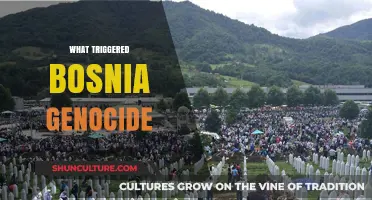 Unraveling the Complex Triggers Behind Bosnia's Devastating Genocide