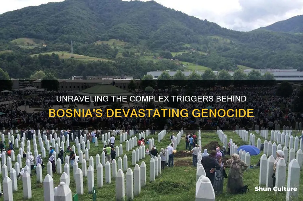 what triggered bosnia genocide