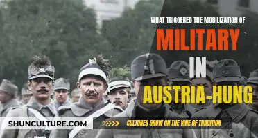 The Spark: Unraveling Austria-Hungary's Military Mobilization Crisis