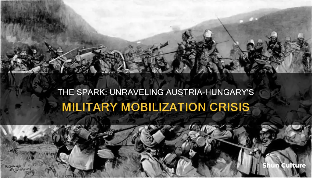 what triggered the mobilization of military in austria-hungary