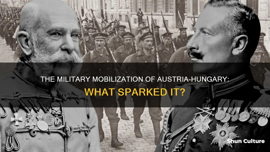 what triggered the mobilization of military in austria-hungary