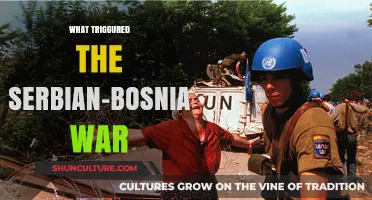 Ethnic Tensions and Political Upheaval: The Spark of the Serbian-Bosnian War