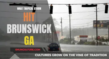 Brunswick, GA: Tropical Storms and Their Impact