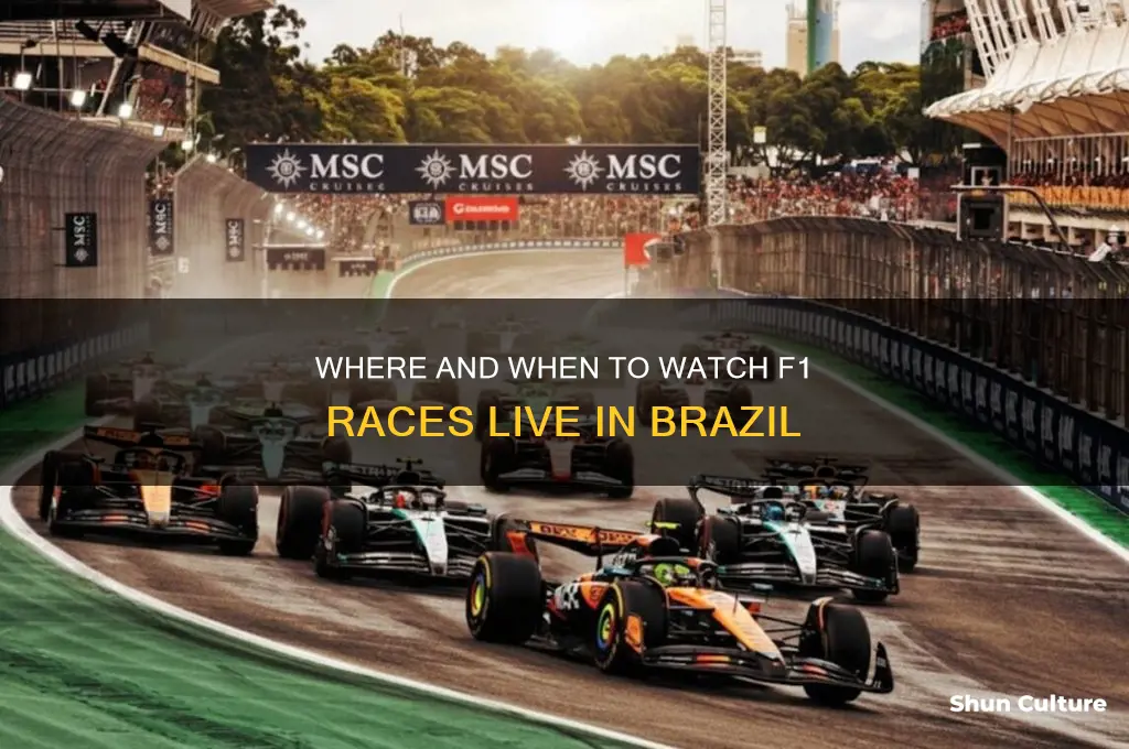 what tv program shows f1 in brazil and what time