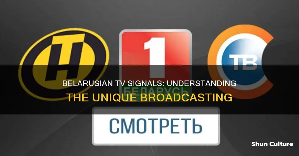 what tv signal is used in belarus