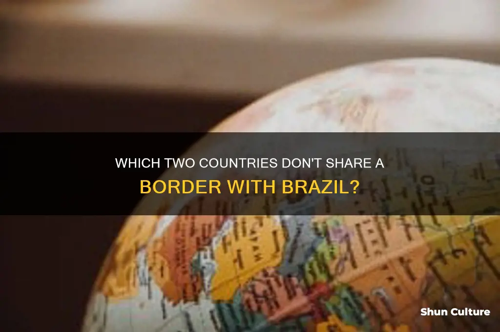what two countries dont share a map with brazil