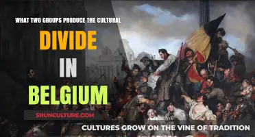 Bridging the Cultural Divide: Understanding Belgium's Linguistic Communities