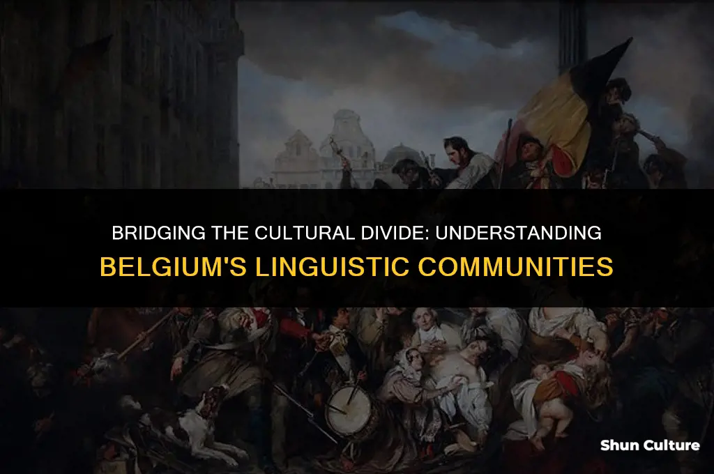 what two groups produce the cultural divide in belgium