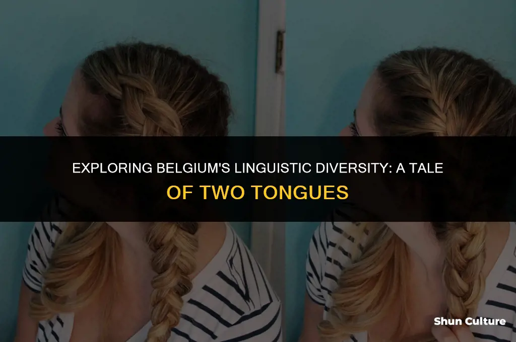 what two languages are spoken in belgium