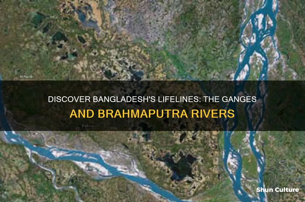 what two major rivers flow through bangladesh