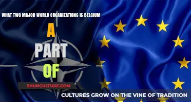 Belgium's Global Influence: Membership in Key International Organizations
