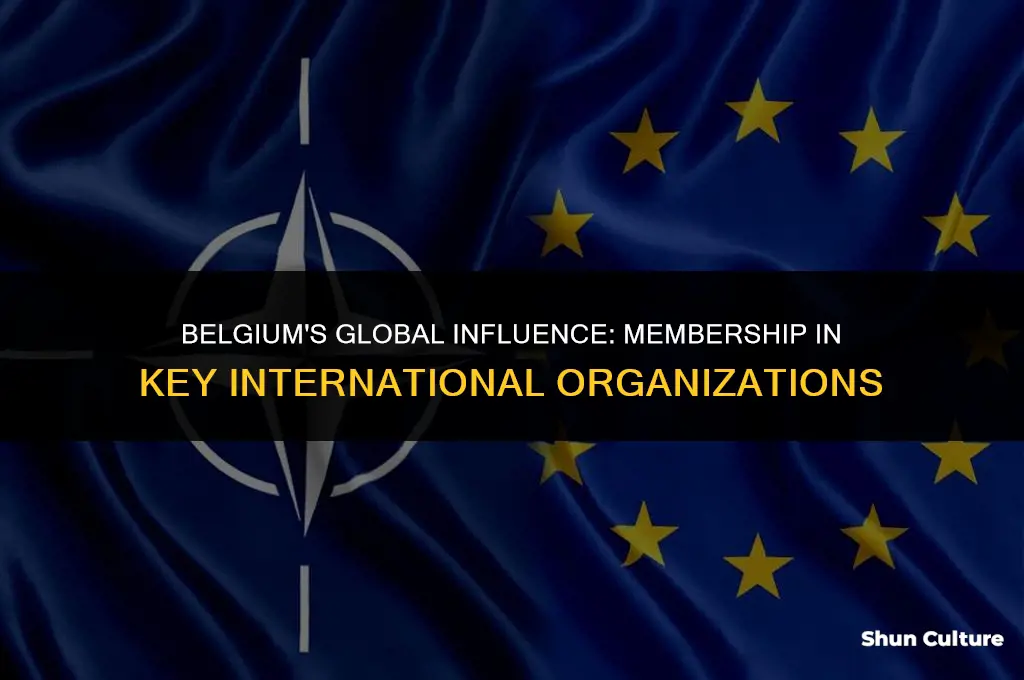 what two major world organizations is belgium a part of