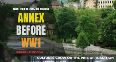 Austria's Pre-WW1 Annexation: Two Nations, One Empire