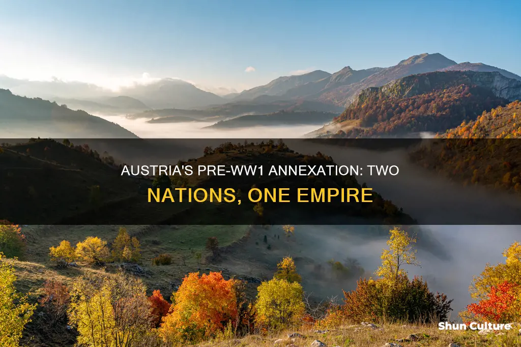 what two nations did austria annex before ww1