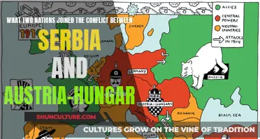 The Great War's Unlikely Allies: Serbia's New Allies