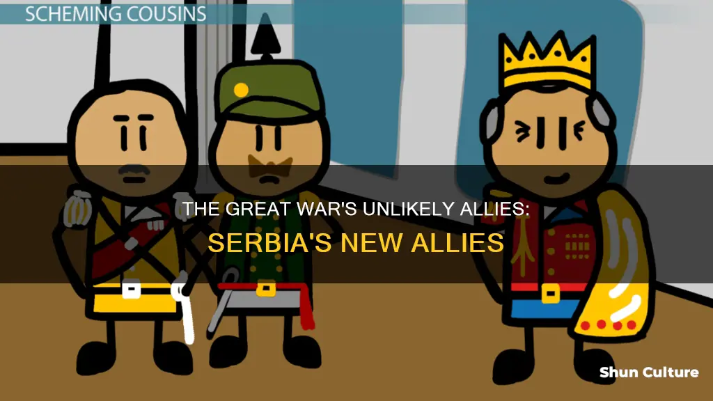 what two nations joined the conflict between serbia and austria-hungary