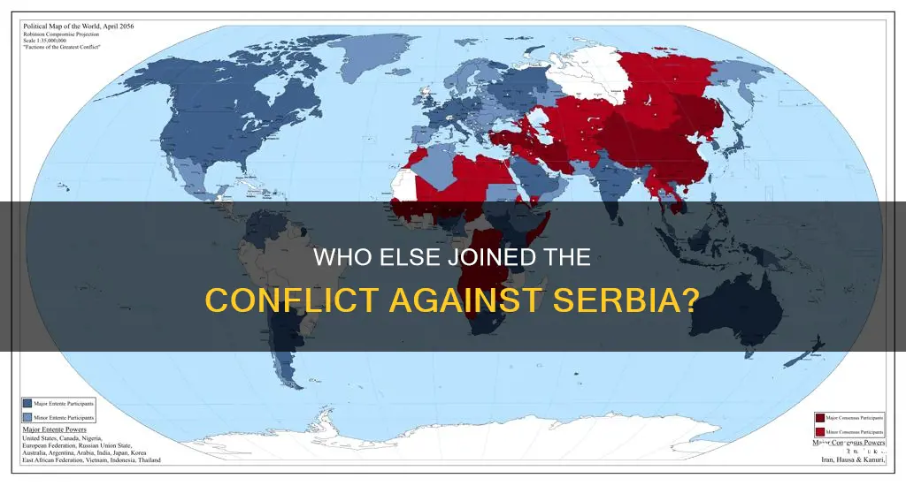 what two nations joined the conflict between serbia and austria-hungary