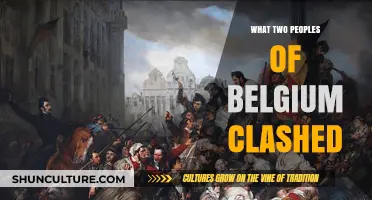 Cultural Clash: The Complex Relationship Between Belgium's Flemish and Walloon Communities