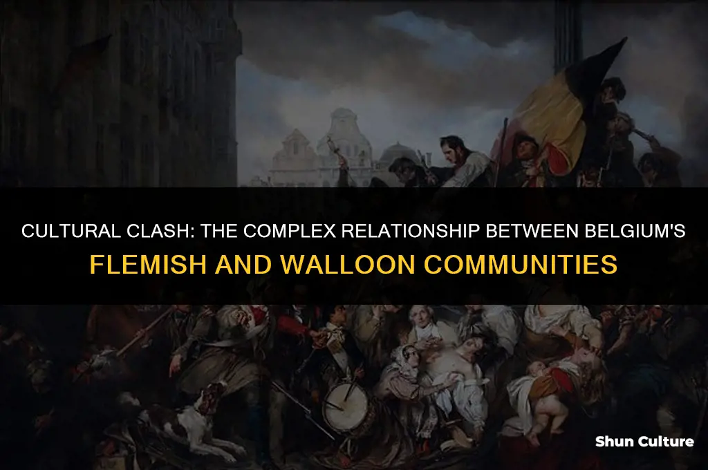what two peoples of belgium clashed