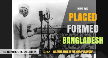 East Pakistan and Bengal: The Historical Roots of Bangladesh's Formation
