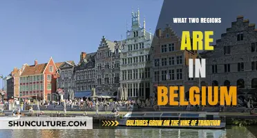 Exploring Belgium's Diverse Regions: A Guide to Flanders and Wallonia