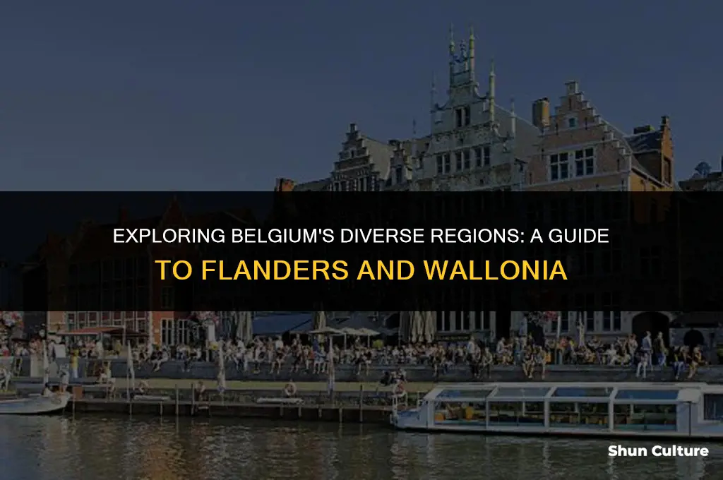what two regions are in belgium