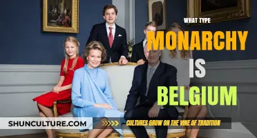 Exploring Belgium's Unique Monarchy: A Constitutional Overview