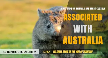 Australian Wildlife: Animals Unique to Australia